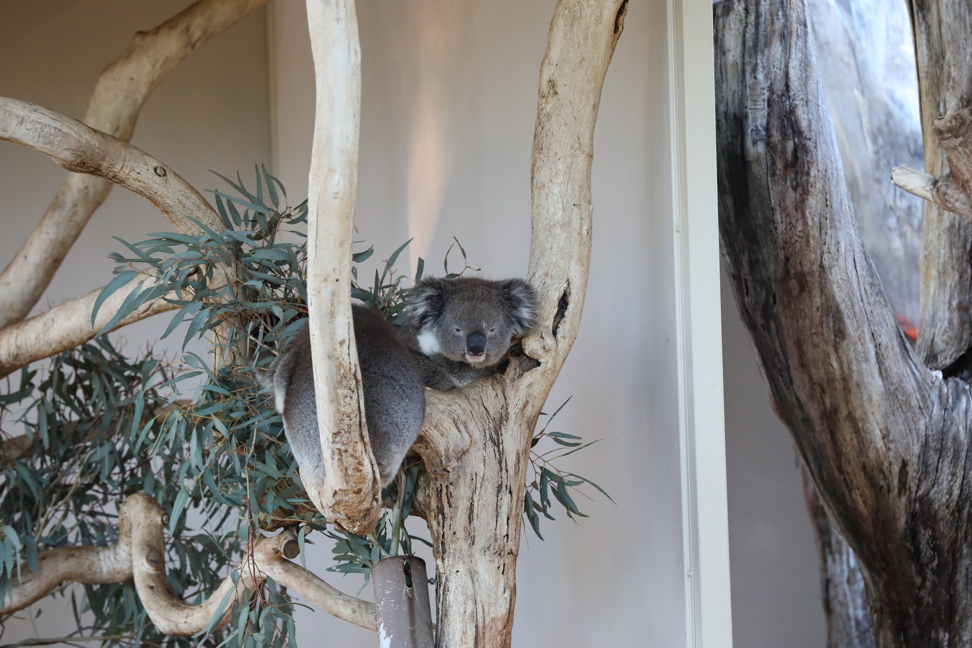 2019 07 19 15 17 58 Canon EOS 5D Mark IV 0036